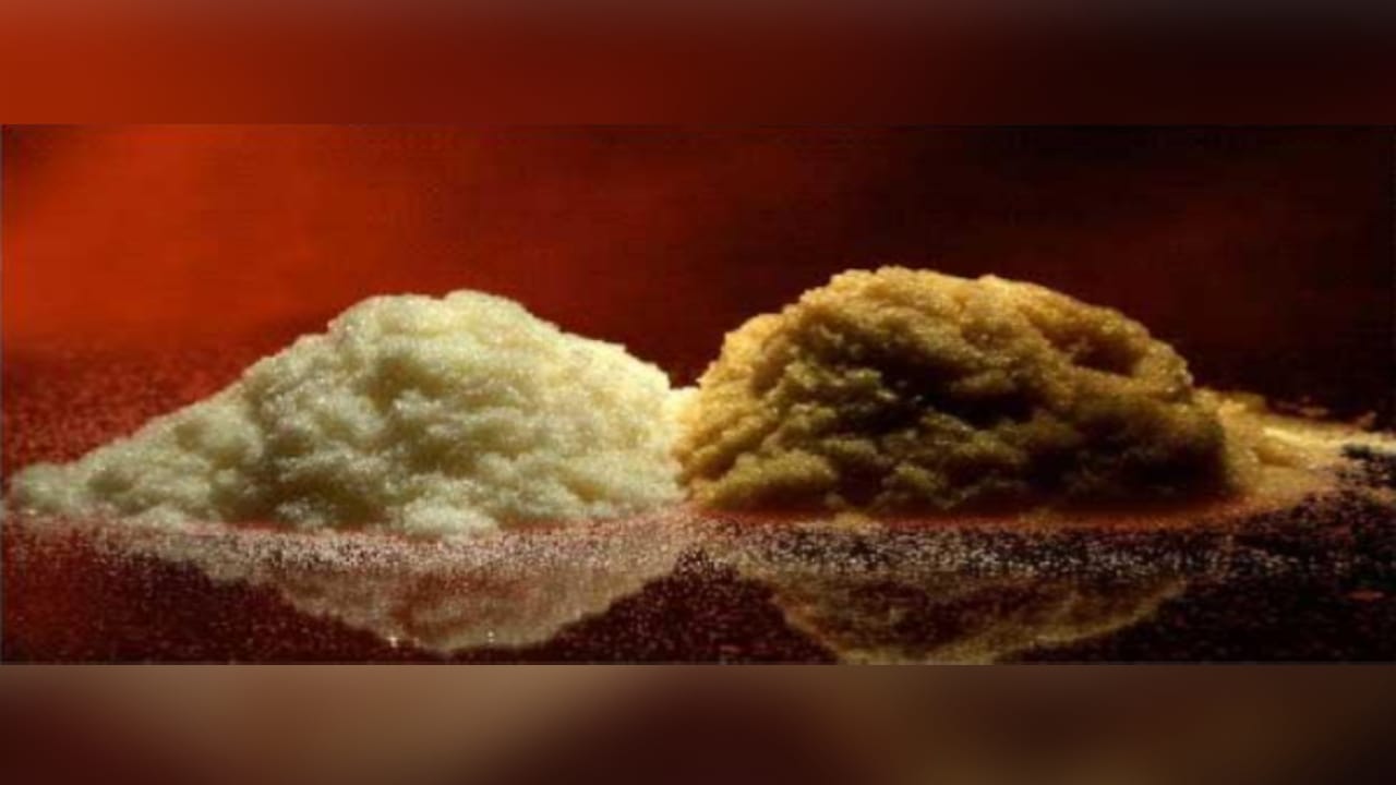 Leitos Filtrantes - Hidro T