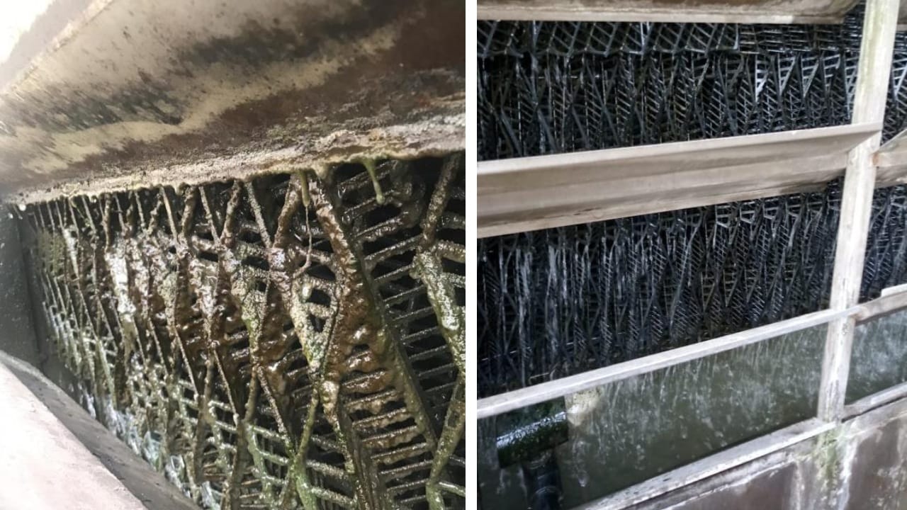 Limpeza Física / Higienização & Sanitização / Sanificação - Hidro T